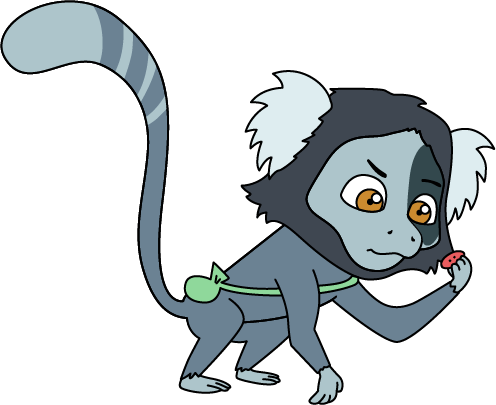 Sagui do Clubinho